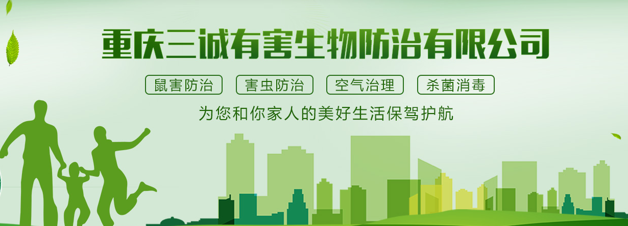 白蟻季來(lái)臨，白蟻防治中心科普白蟻紛飛知識(shí)